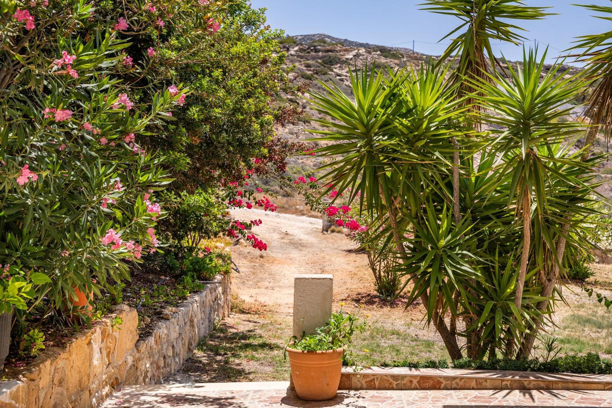 Sun Week Bay Hotel Lefkos  Екстериор снимка